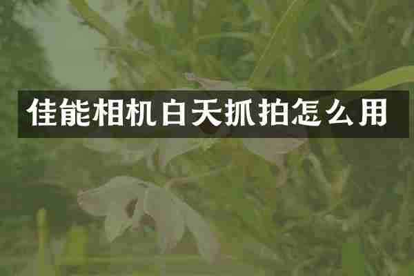 佳能相机白天抓拍怎么用