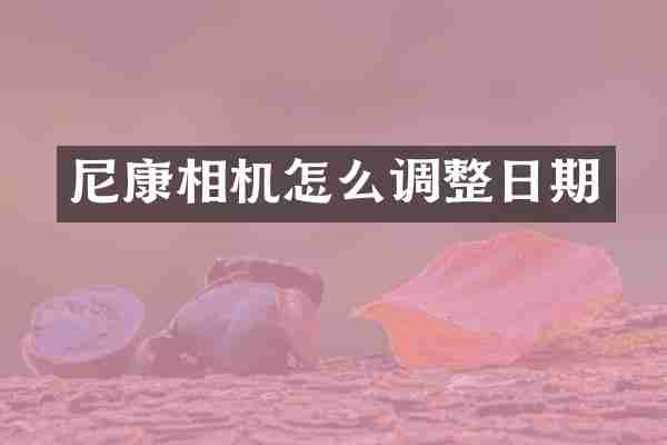 尼康相机怎么调整日期