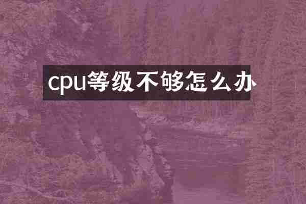 cpu等级不够怎么办