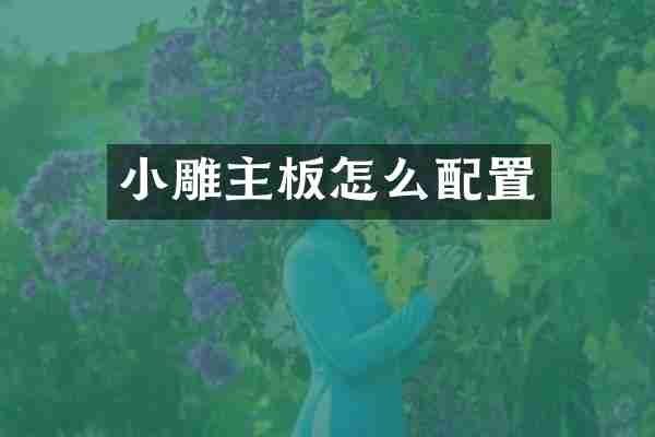 小雕主板怎么配置