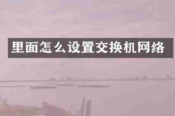 里面怎么设置交换机网络