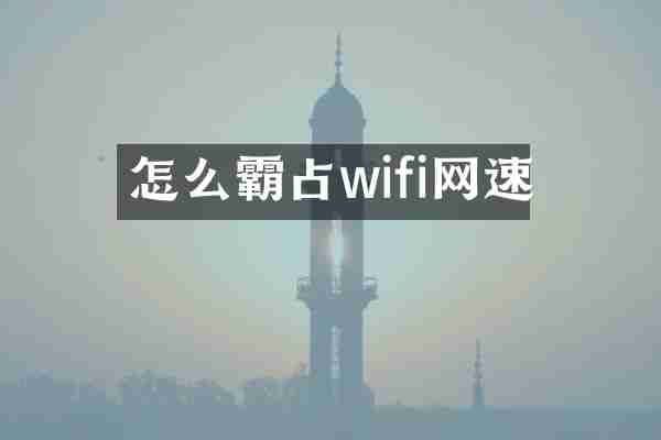 怎么霸占wifi网速