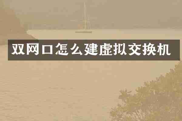 双网口怎么建虚拟交换机