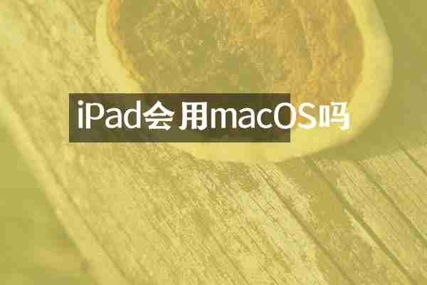 iPad会用macOS吗