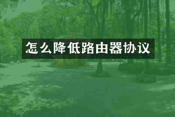 怎么降低路由器协议
