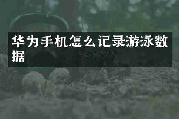 华为手机怎么记录游泳数据