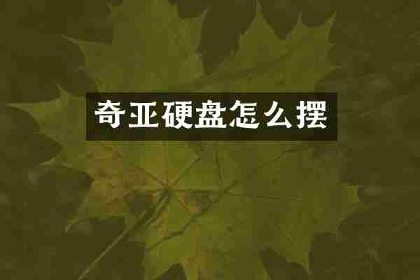 奇亚硬盘怎么摆