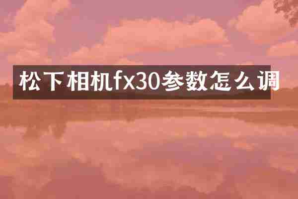 相机fx30参数怎么调