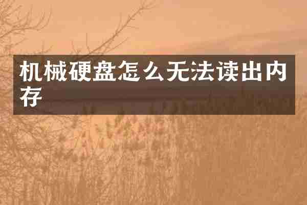 机械硬盘怎么无法读出内存
