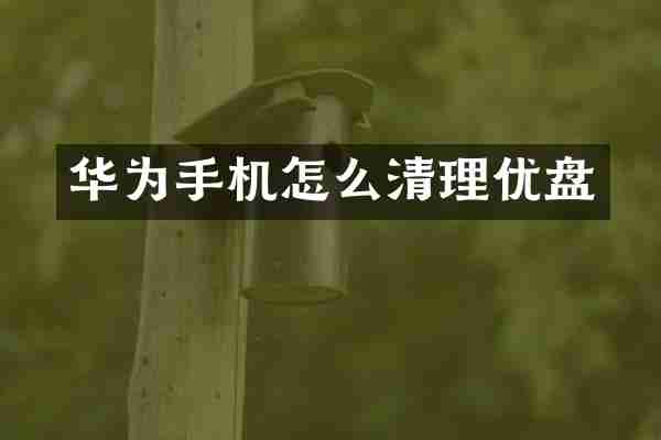 华为手机怎么清理优盘