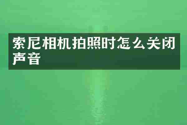 索尼相机拍照时怎么关闭声音