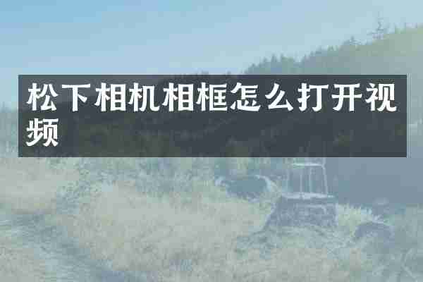 松下相机相框怎么打开视频