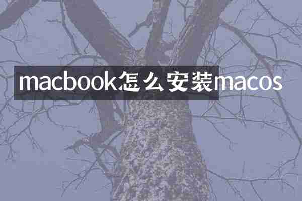 macbook怎么安装macos