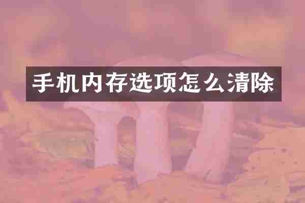 手机内存选项怎么清除