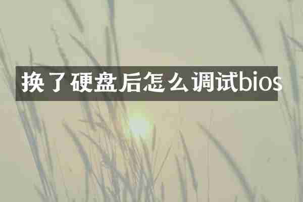 换了硬盘后怎么调试bios