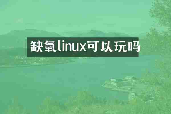缺氧linux可以玩吗