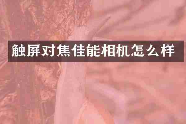 触屏对焦佳能相机怎么样