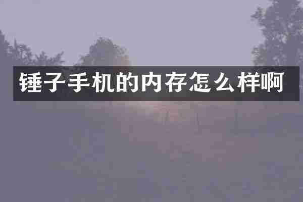 锤子手机的内存怎么样啊