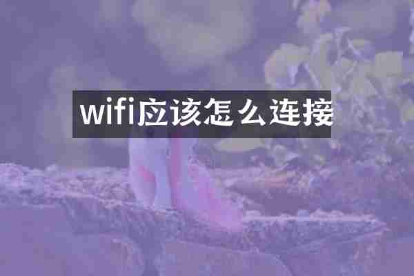 wifi应该怎么连接