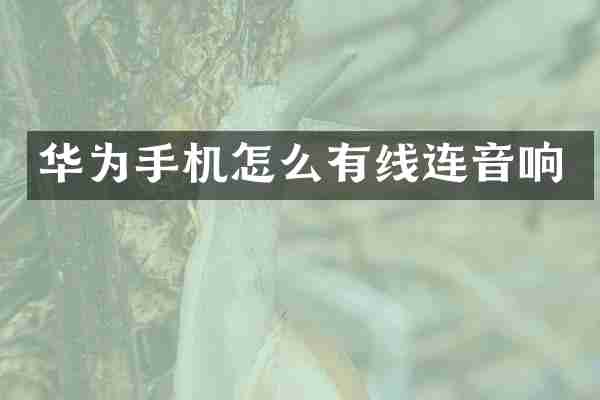 华为手机怎么有线连音响