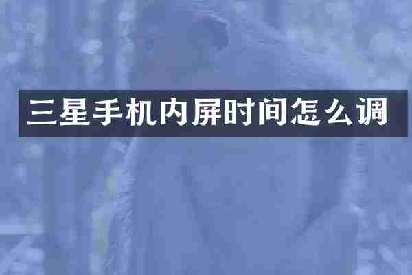 三星手机内屏时间怎么调