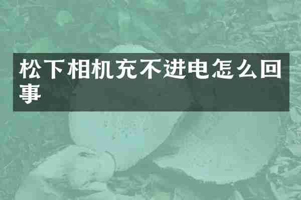 松下相机充不进电怎么回事
