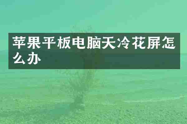 苹果平板电脑天冷花屏怎么办