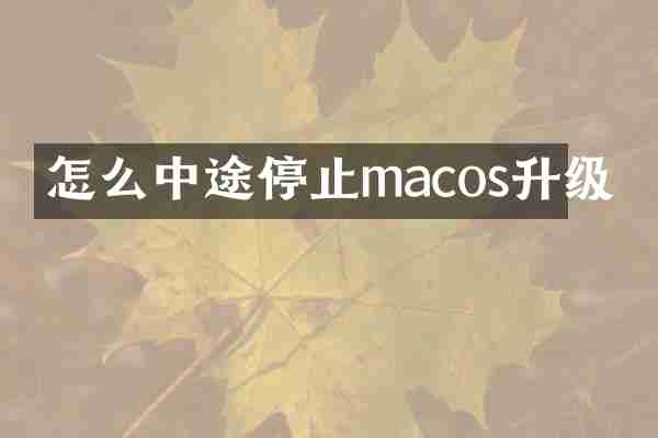 怎么中途停止macos升级