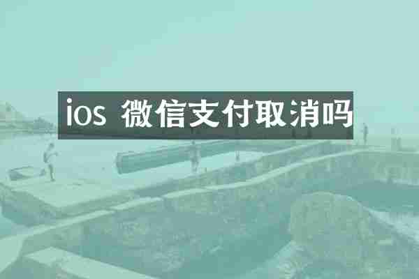 ios 微信支付取消吗