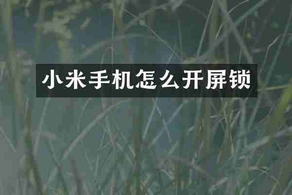 小米手机怎么开屏锁