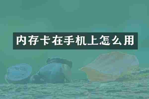 内存卡在手机上怎么用