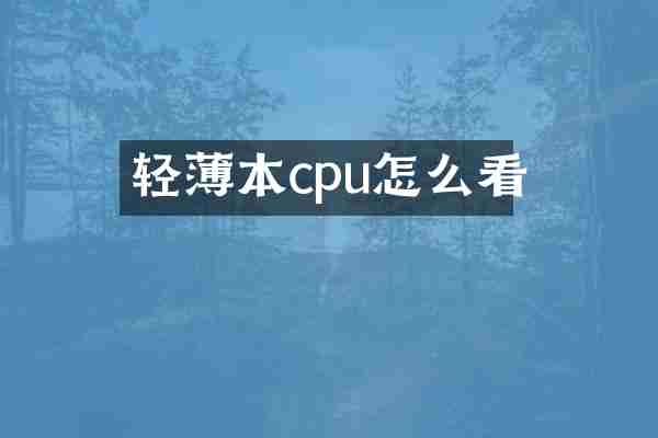 轻薄本cpu怎么看