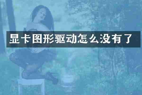 显卡图形驱动怎么没有了