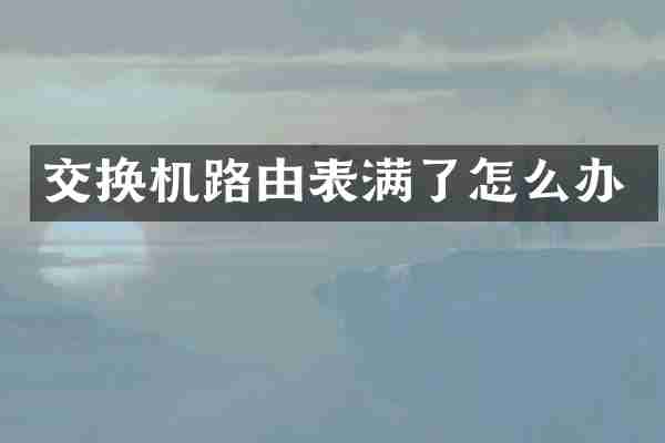 交换机路由表满了怎么办