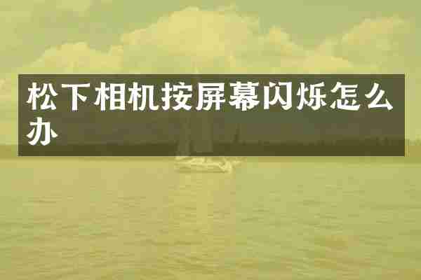 松下相机按屏幕闪烁怎么办