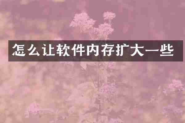 怎么让软件内存扩大一些