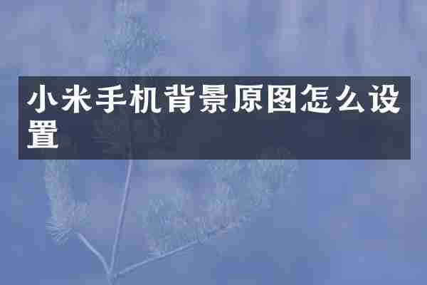 小米手机背景原图怎么设置