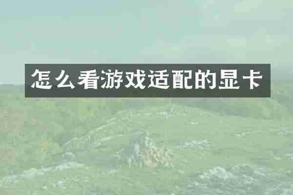 怎么看游戏适配的显卡