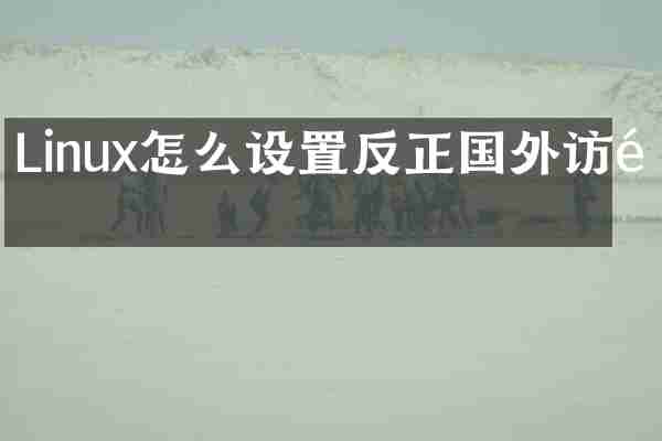 Linux怎么设置反正国外访问