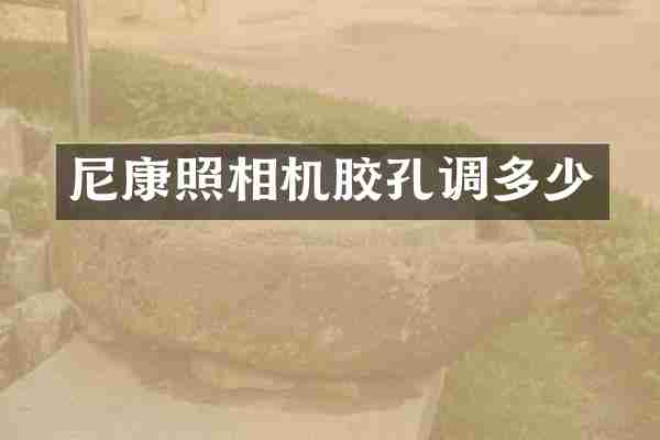 尼康照相机胶孔调多少