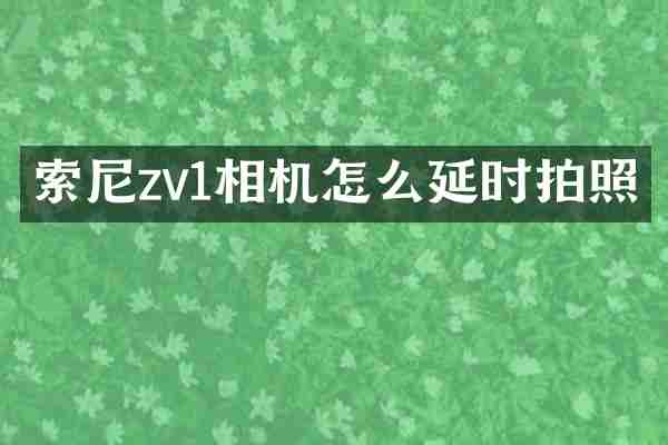 索尼zv1相机怎么延时拍照