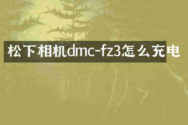 松下相机dmc-fz3怎么充电
