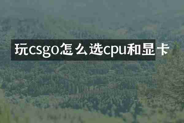 玩csgo怎么选cpu和显卡