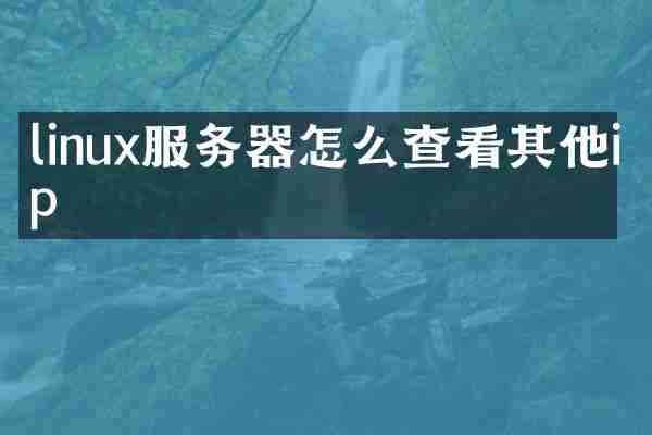 linux服务器怎么查看其他ip