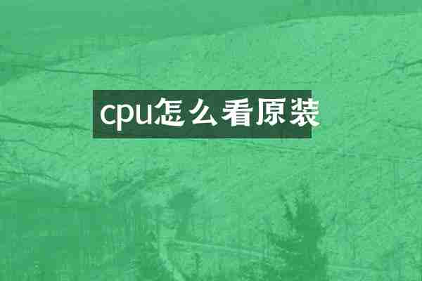 cpu怎么看原装