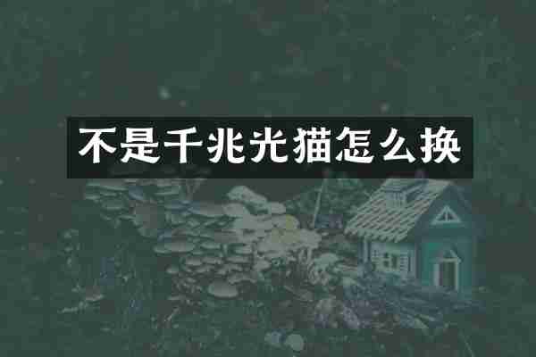 不是千兆光猫怎么换