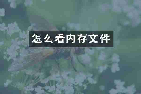 怎么看内存文件