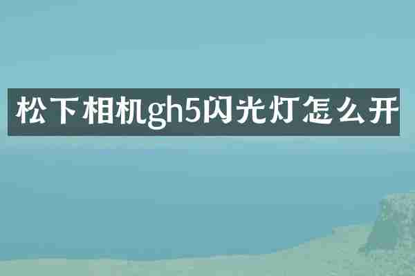 松下相机gh5闪光灯怎么开