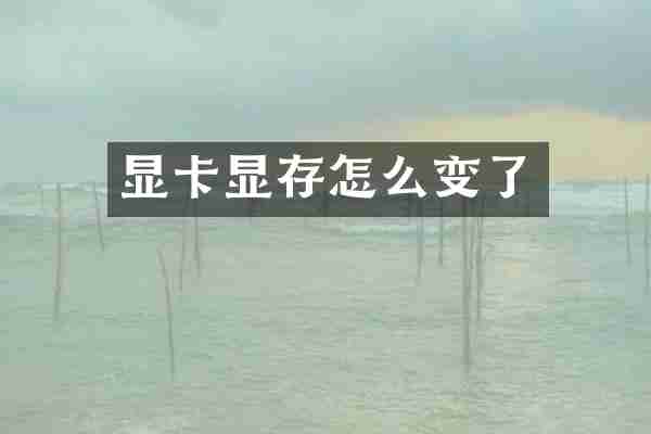 显卡显存怎么变了