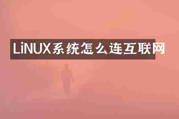 LiNUX系统怎么连互联网